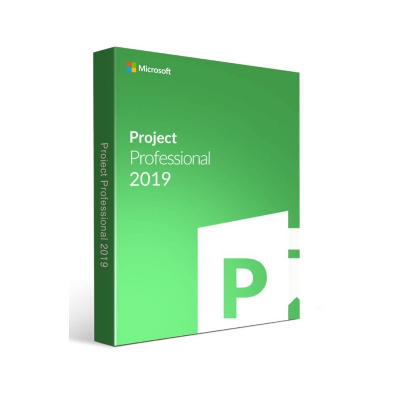 MS Project Pro 2019